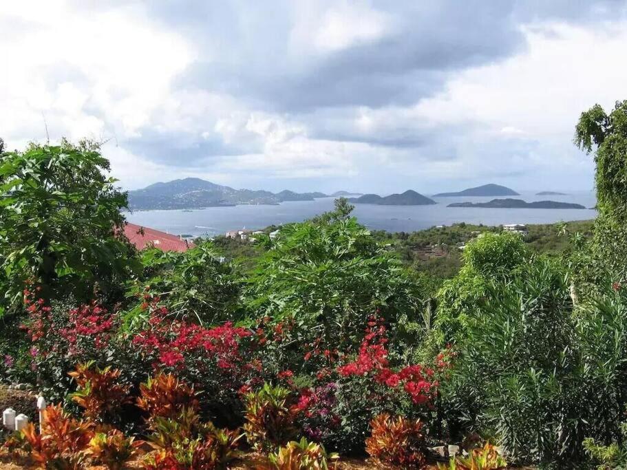 Cruz Bay Cielo Vista Villa 3 Bdrm Sleeps 6 Heavenly View מראה חיצוני תמונה
